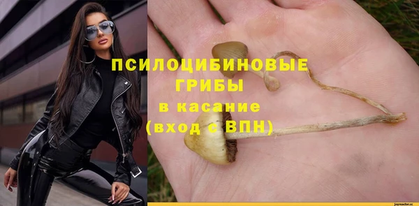 хмурый Михайлов