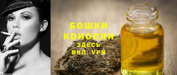 шишки Михайловск