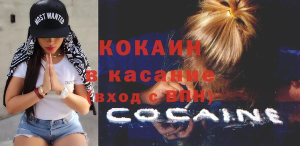 шишки Михайловск