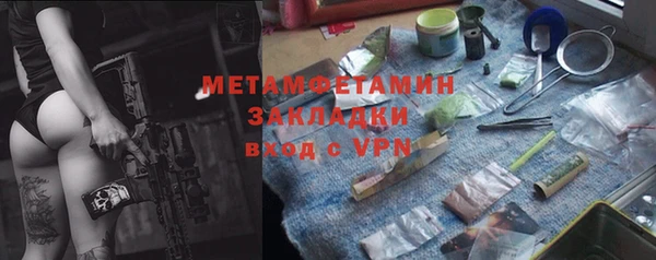 шишки Михайловск