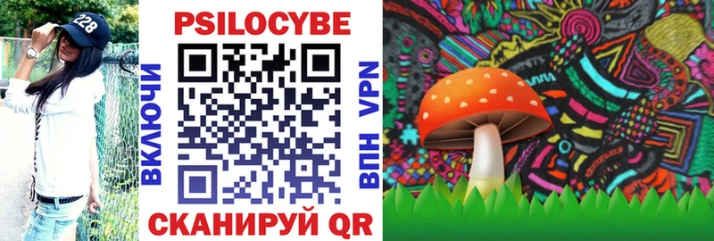 Псилоцибиновые грибы Psilocybine cubensis дарнет шоп Разумное